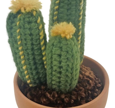 Wool Cactus in Clay Pot (2 Asst) - Evergreen Home and Floral